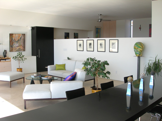 Interior Design Long Narrow Living Rooms
