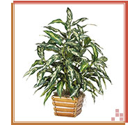 Decorative Silk Plants for Living Room